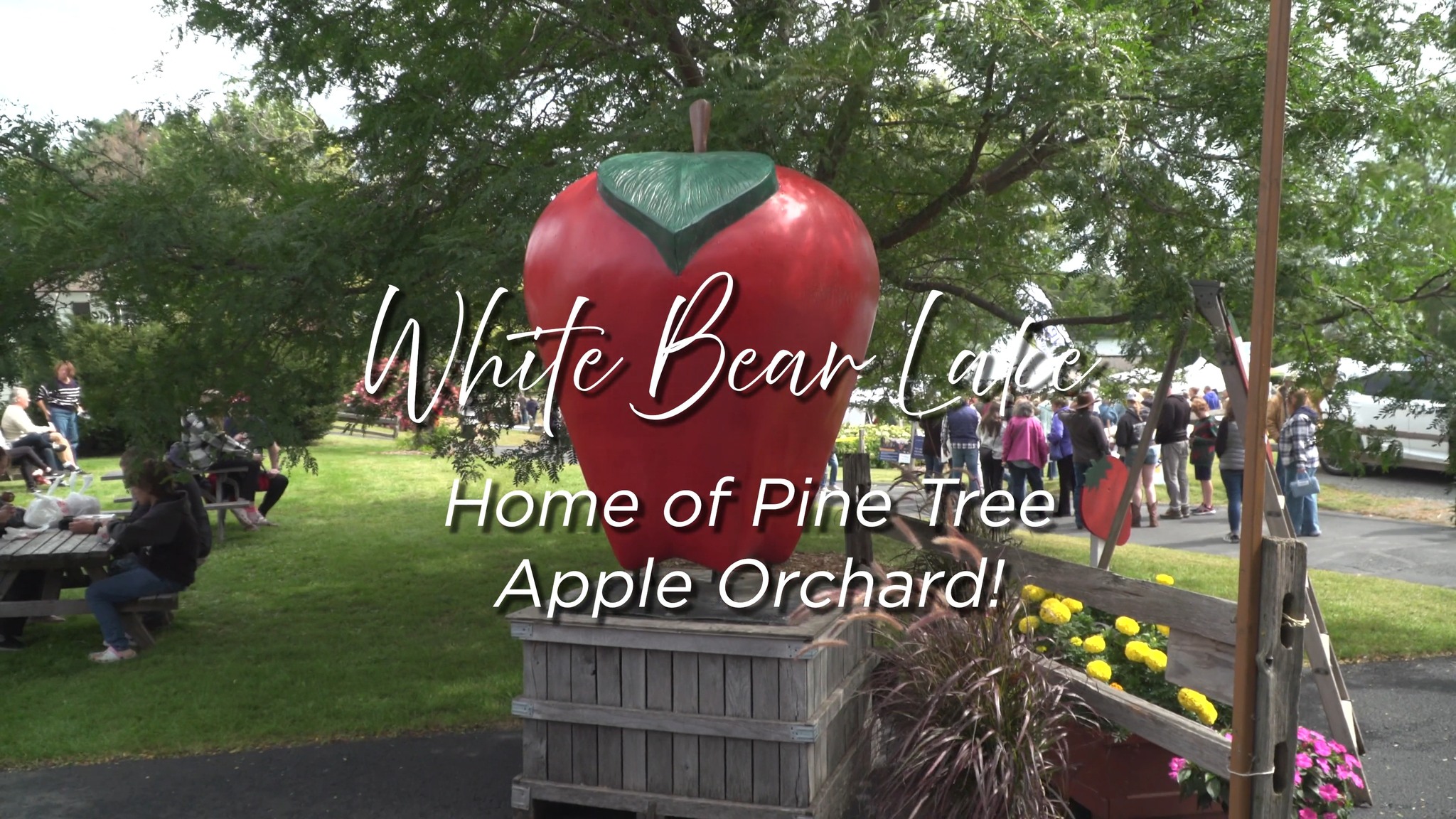 latest post attachment